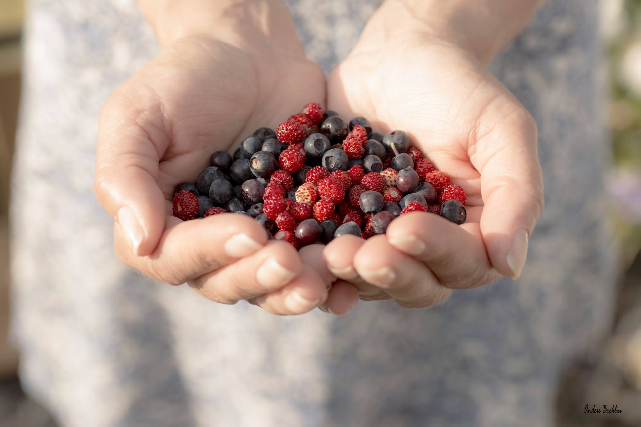 Terapirum i Alingsås med läderfåtölj, filt och lugn atmosfär – JiO Samtal och Psykoterapi.